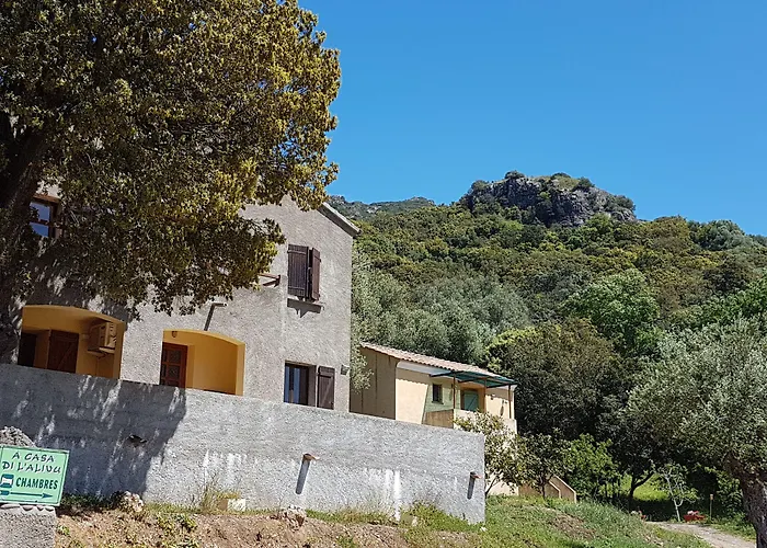 A Casa Di L'alivu Bed and Breakfast