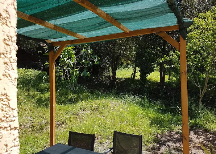 A Casa Di L'alivu Bed and Breakfast