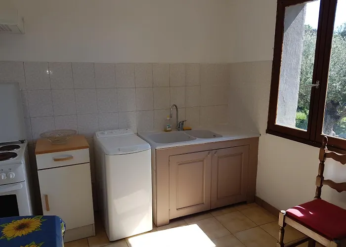 A Casa Di L'alivu Bed and Breakfast