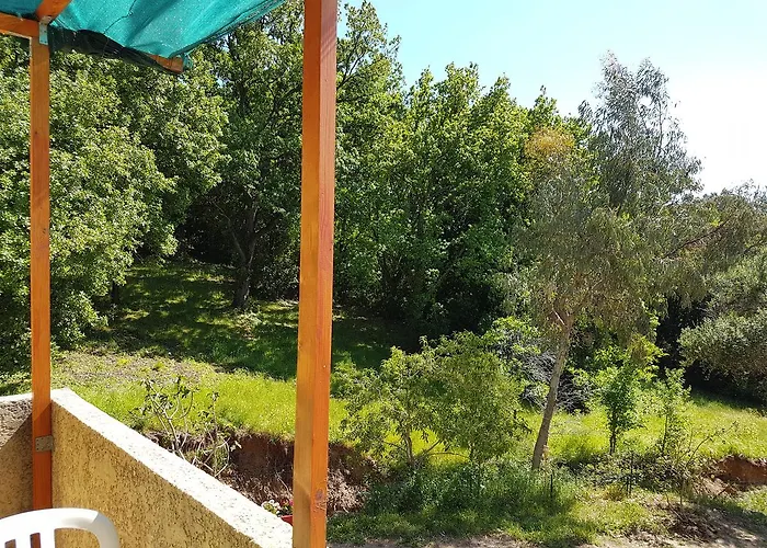 A Casa Di L'alivu