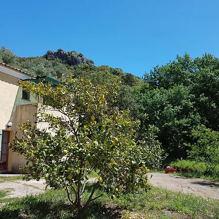 A Casa Di L'alivu 3*