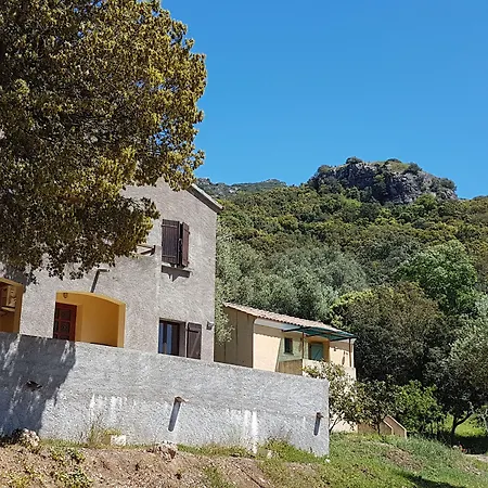 A Casa Di L'alivu فندق مبيت وإفطار