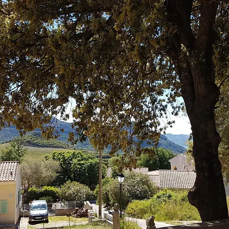 A Casa Di L'alivu 3* Patrimonio