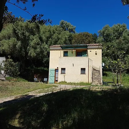 A Casa Di L'alivu 3* Patrimonio