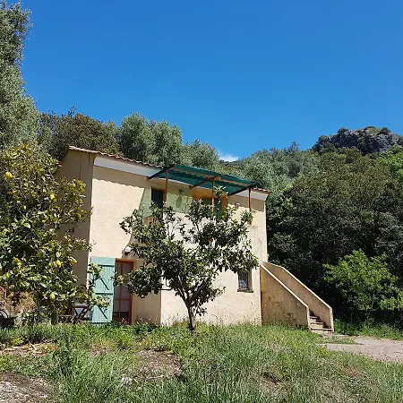 Frühstückspension A Casa Di L'alivu