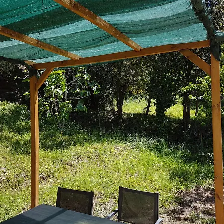 A Casa Di L'alivu