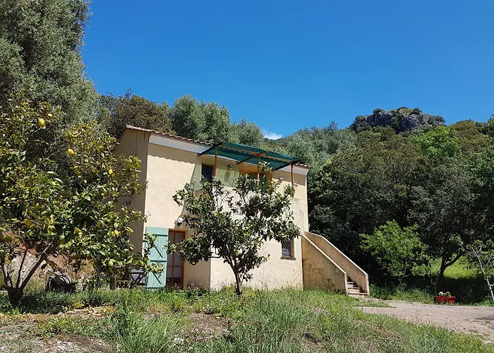 Bed & Breakfast A Casa Di L'alivu