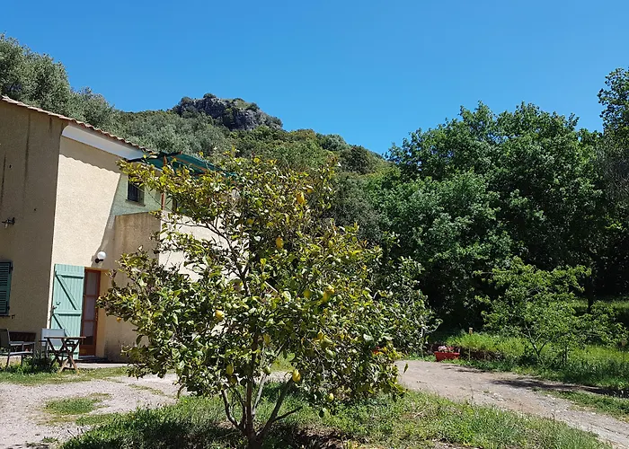 A Casa Di L'alivu 3*