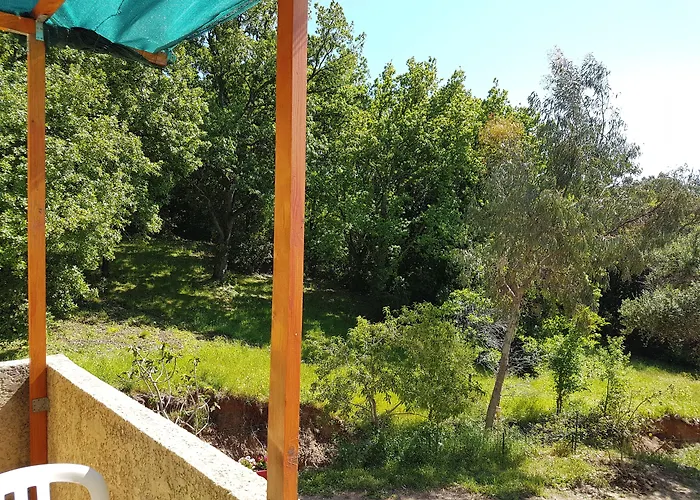 A Casa Di L'alivu 3* Patrimonio