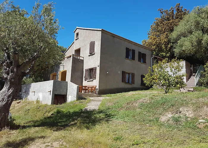 Bed & Breakfast A Casa Di L'alivu