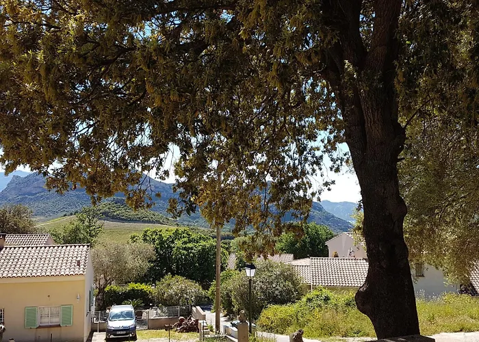 A Casa Di L'alivu 3* Patrimonio