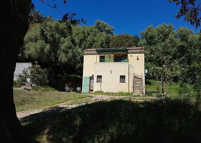 A Casa Di L'alivu 3* Patrimonio